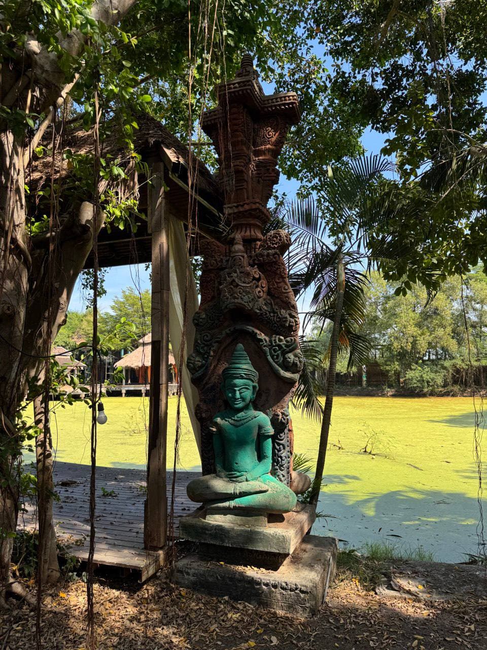 Фото отзыва Ksenia №3