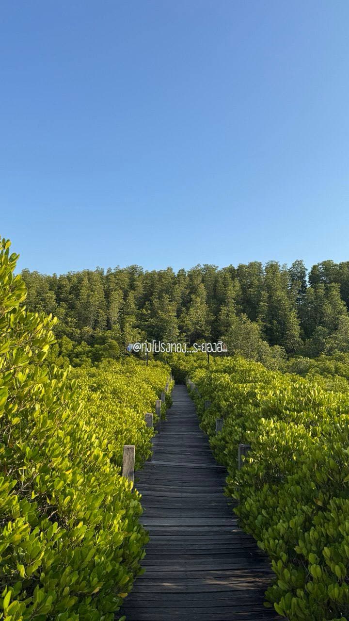 Фото отзыва Ksenia №1