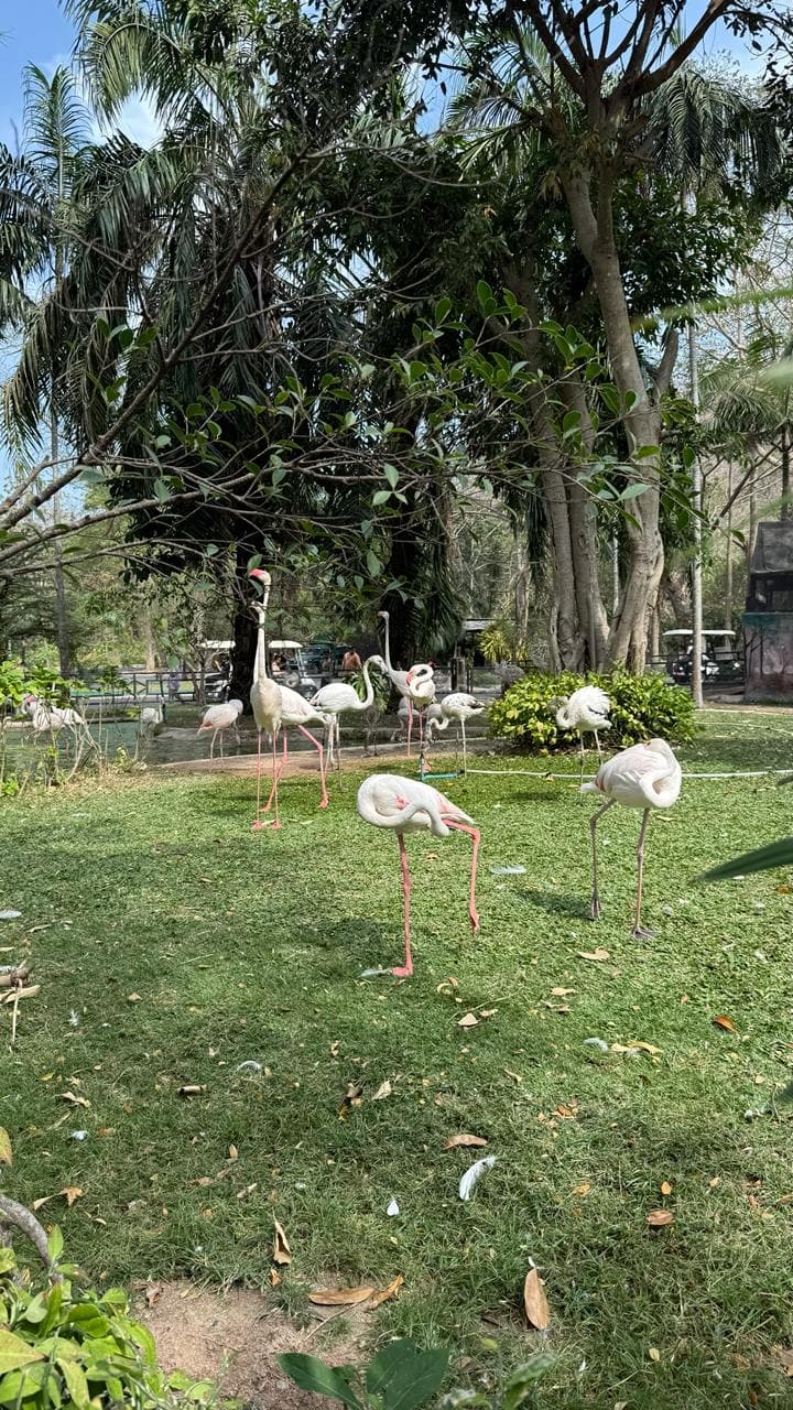 Фото отзыва Ramen №1