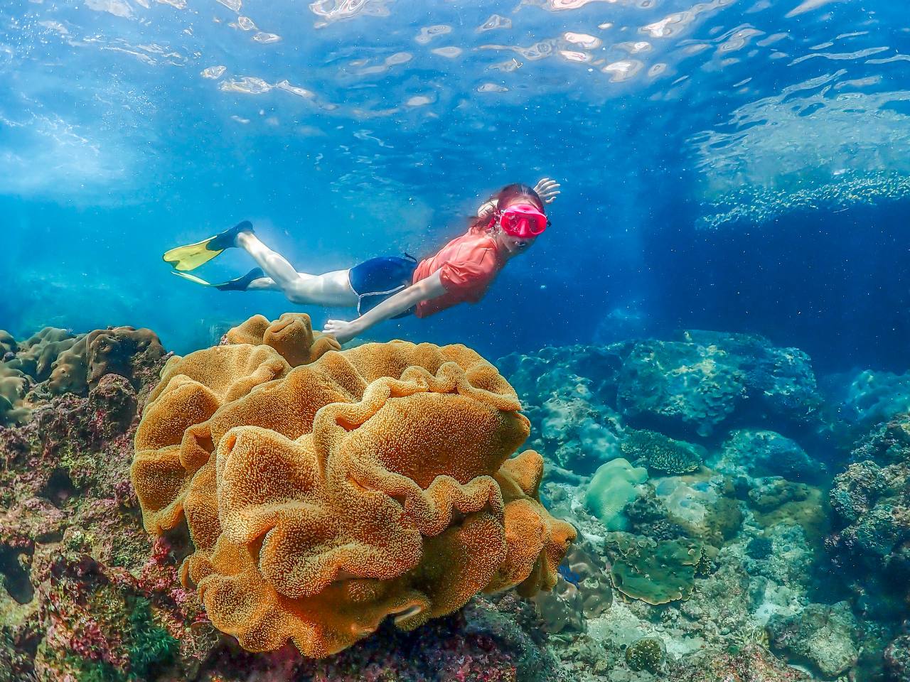 Подводная Одиссея