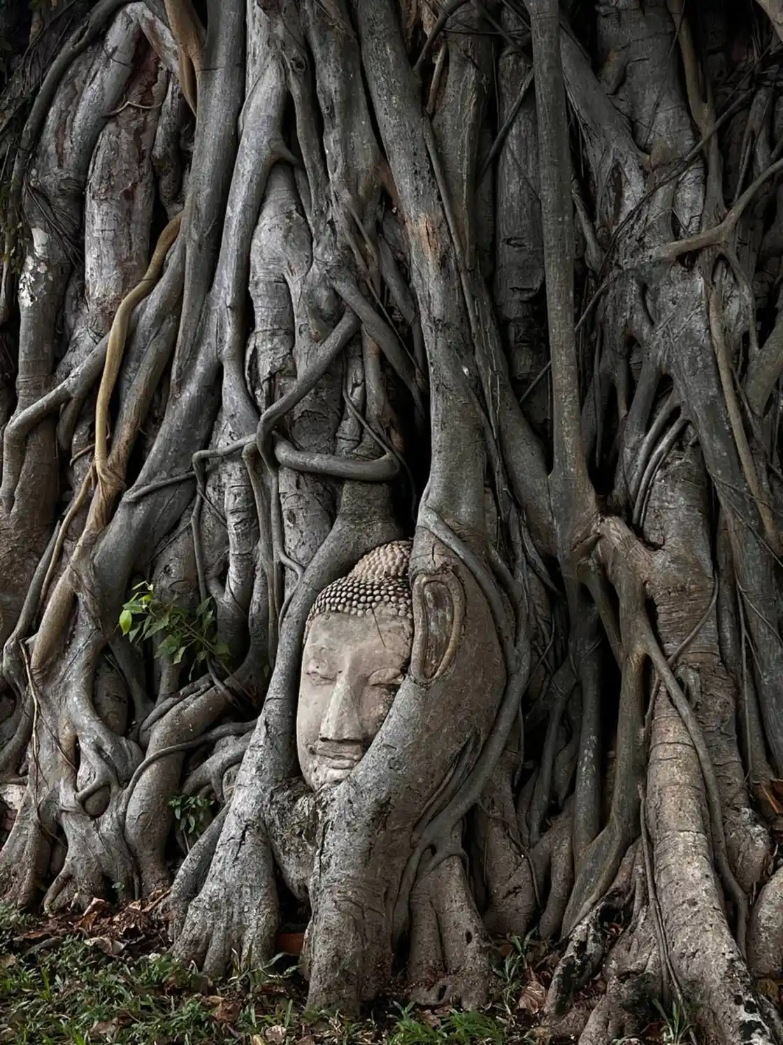 Бангкок + Айюттайя — фото