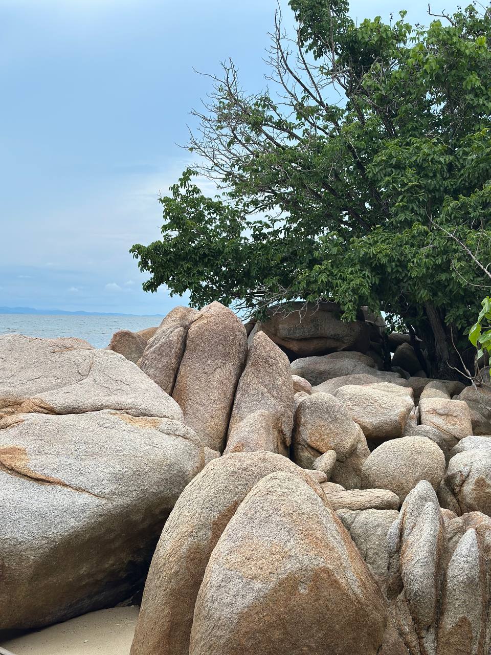 Фото отзыва Анастасия №2