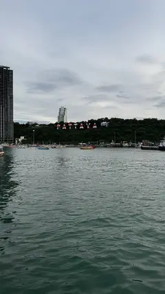 Отзыв к экскурсии «Черная жемчужина» — надпись Pattaya City на холме, вид с моря