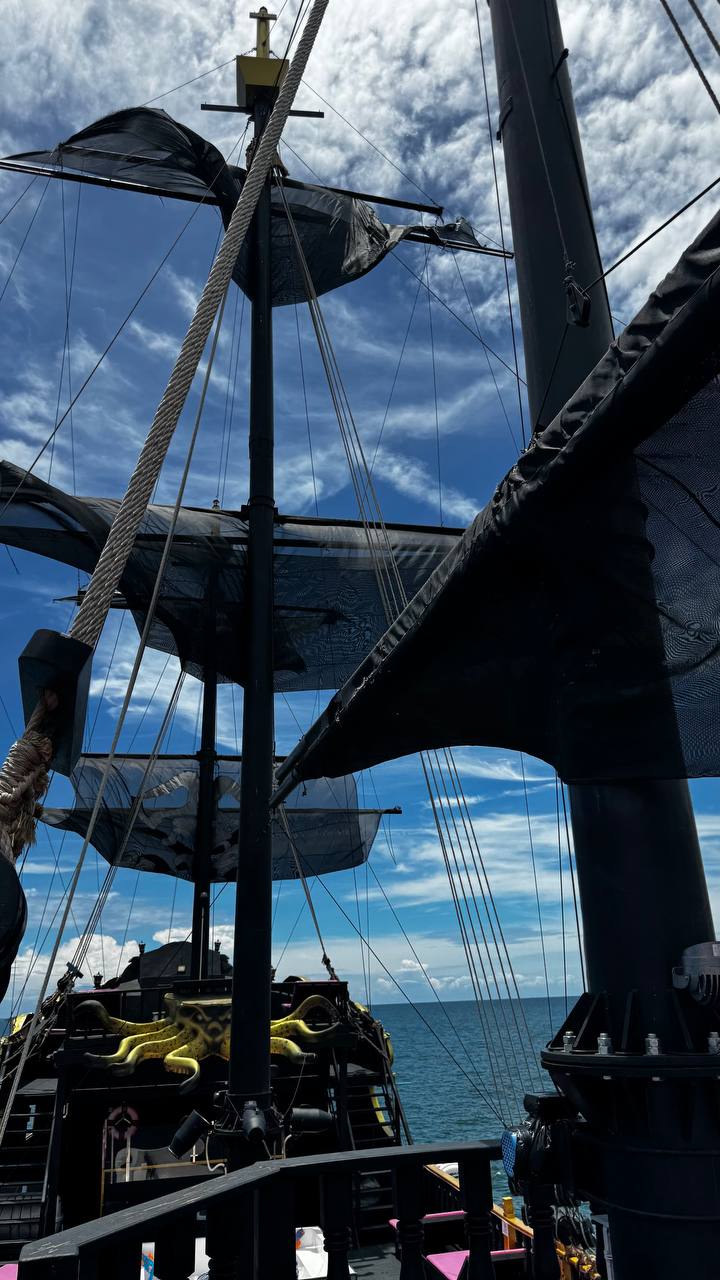 Фото отзыва Алиса №4