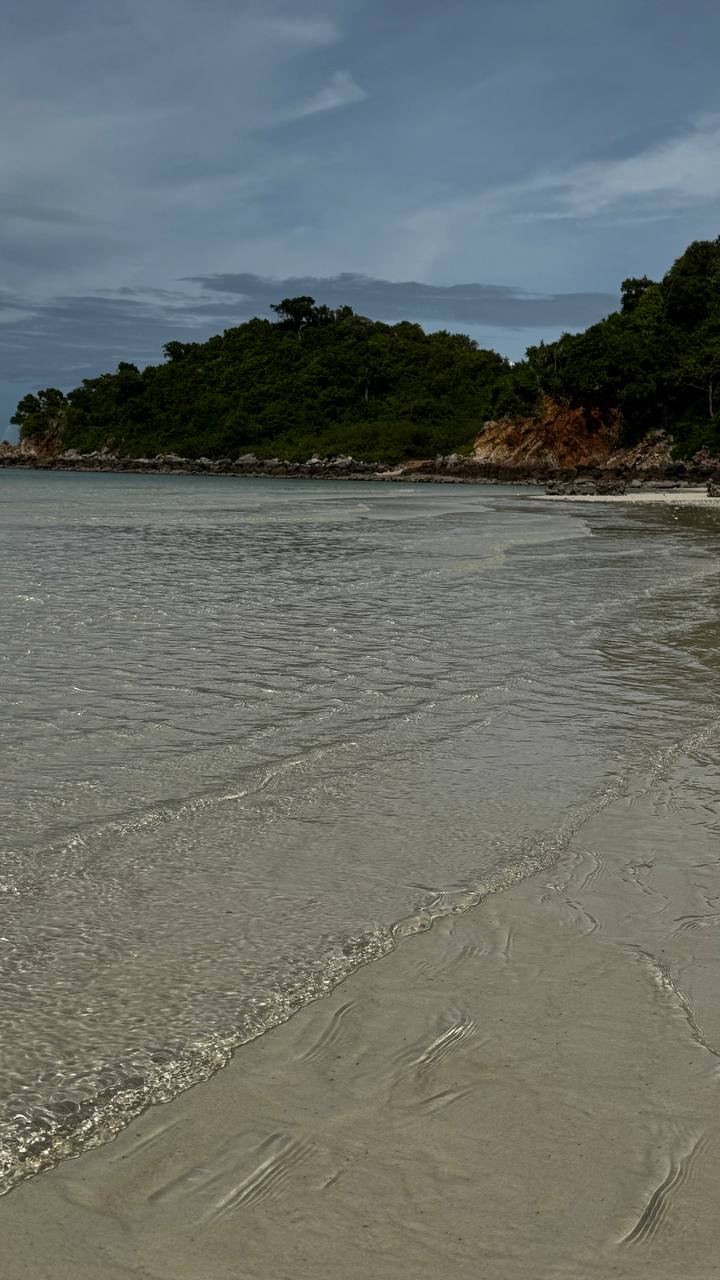 Фото отзыва Алиса №3