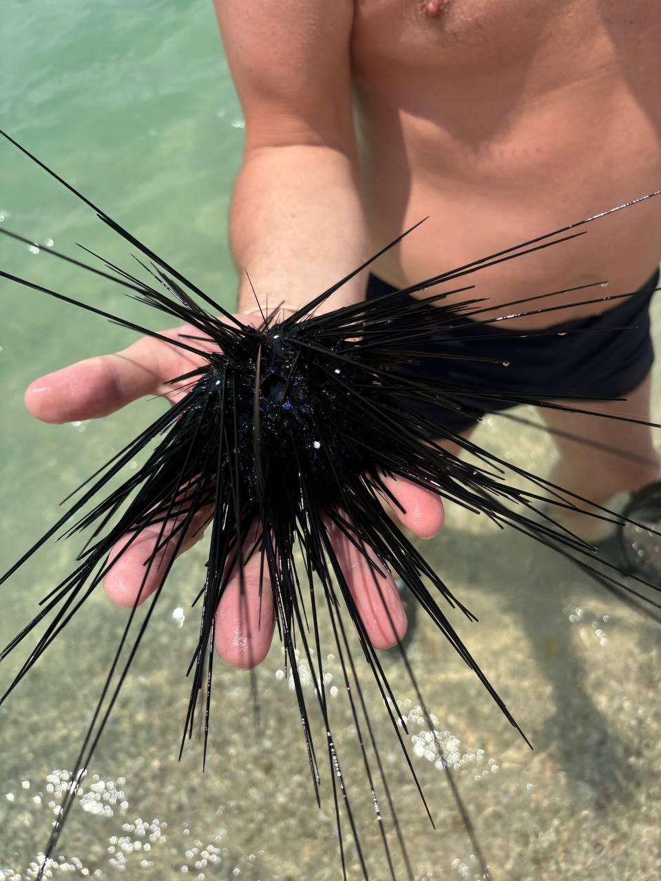 Фото отзыва Ira Ida №1