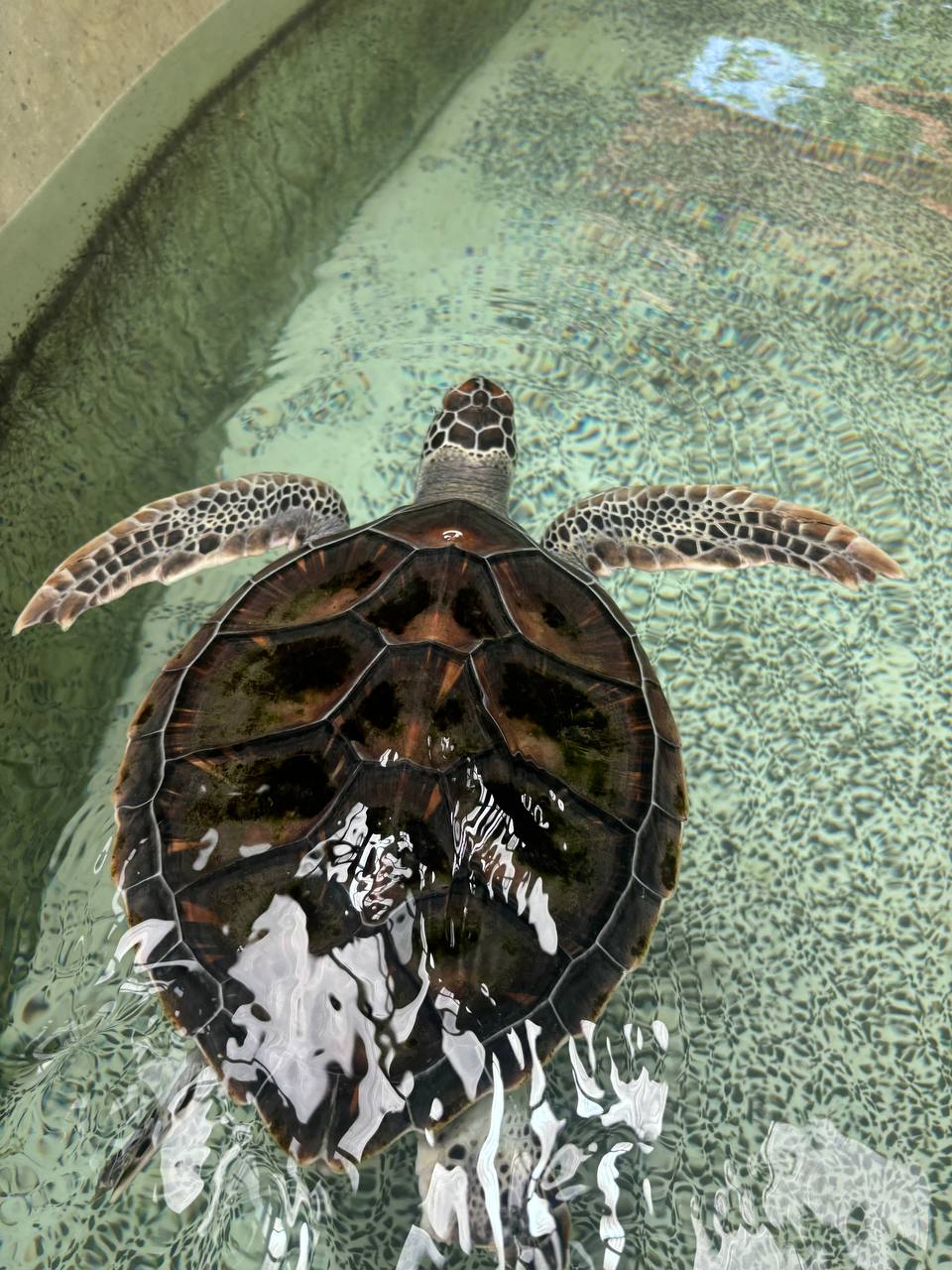 Фото отзыва Ira Ida №4