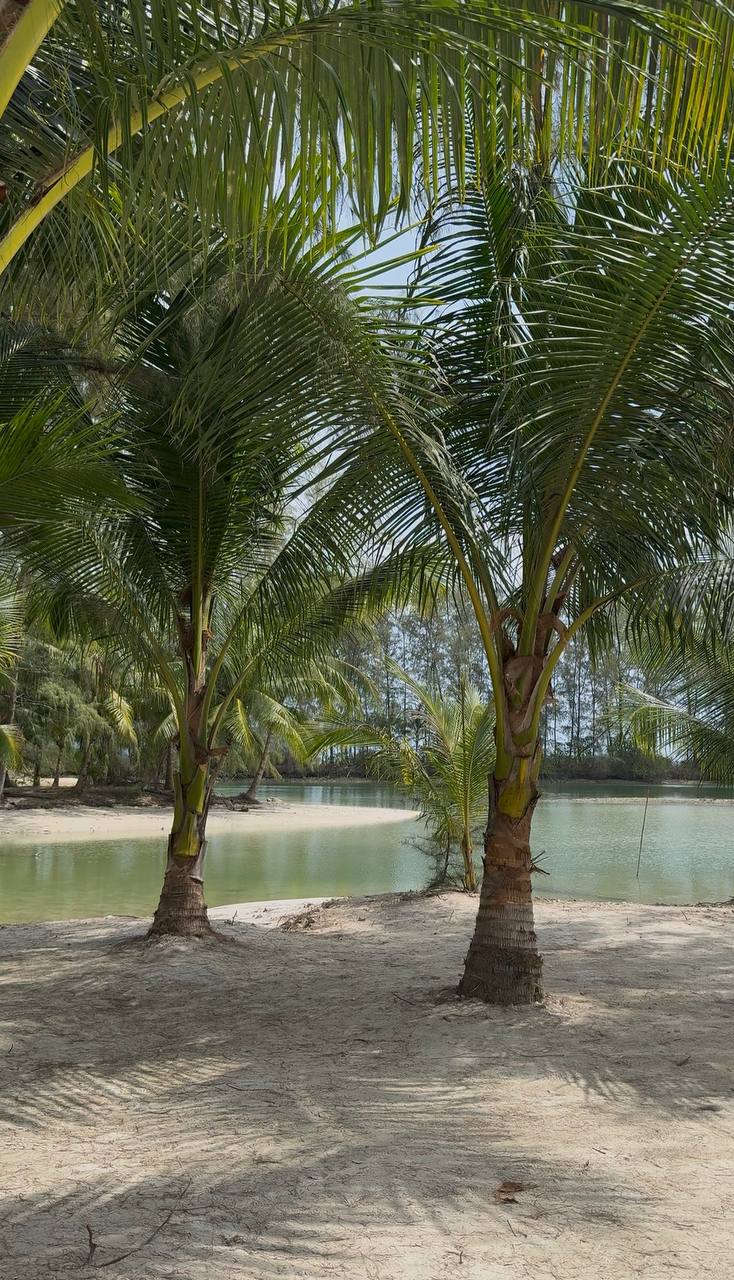 Фото отзыва Дарья №3