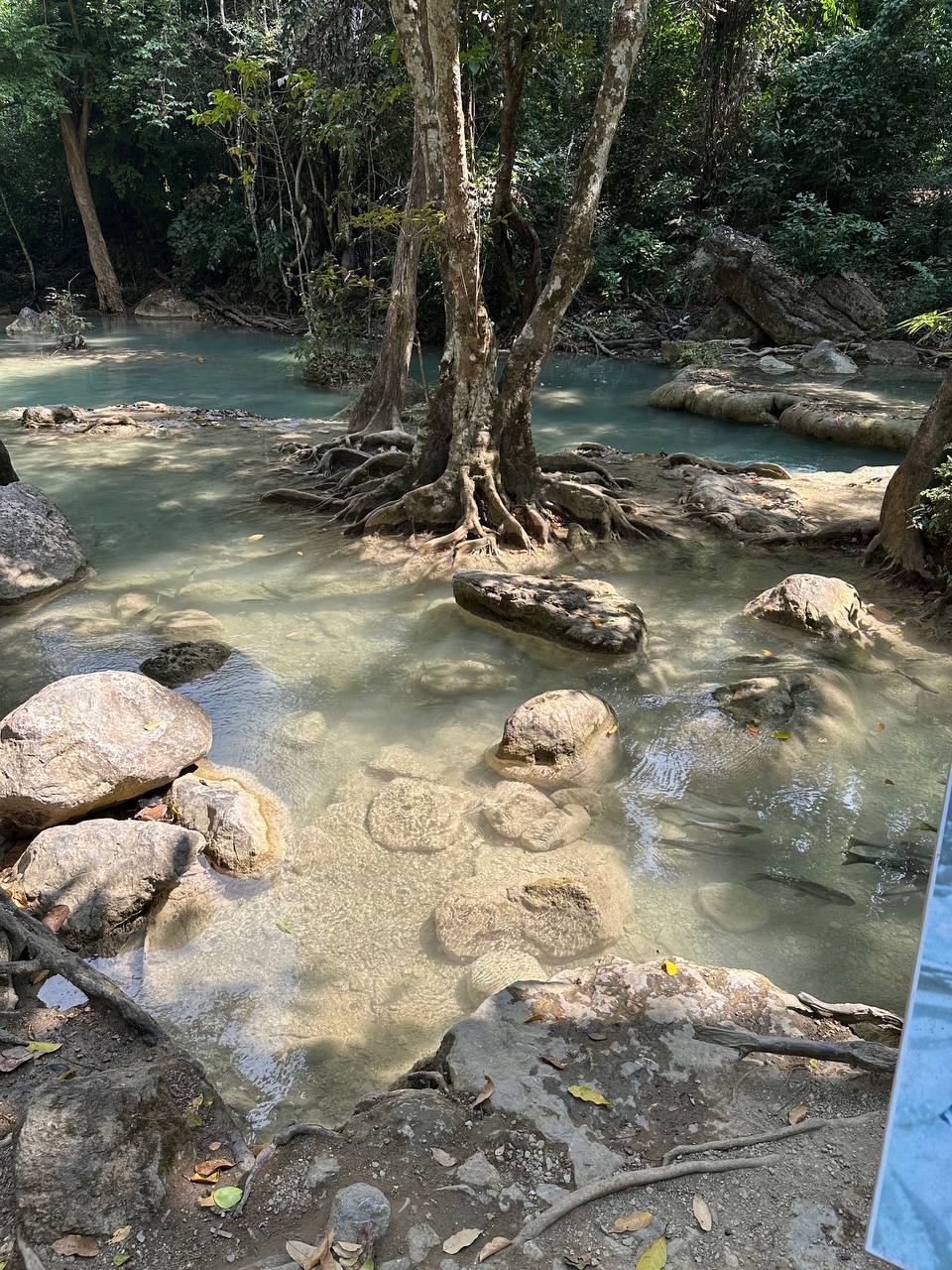 Фото отзыва Lena Usanina №2