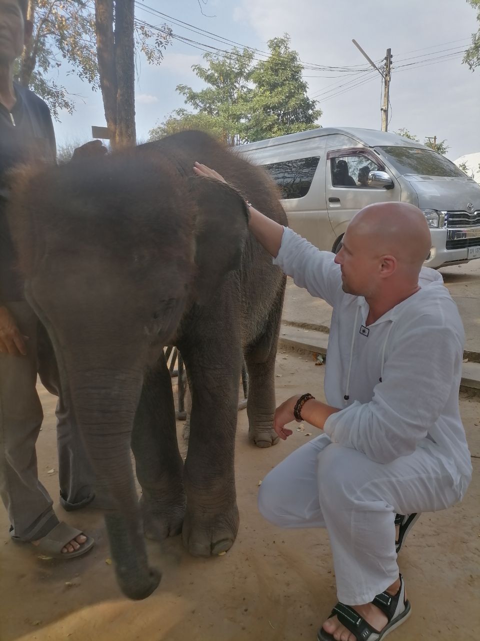 Фото отзыва Basket2685 №2