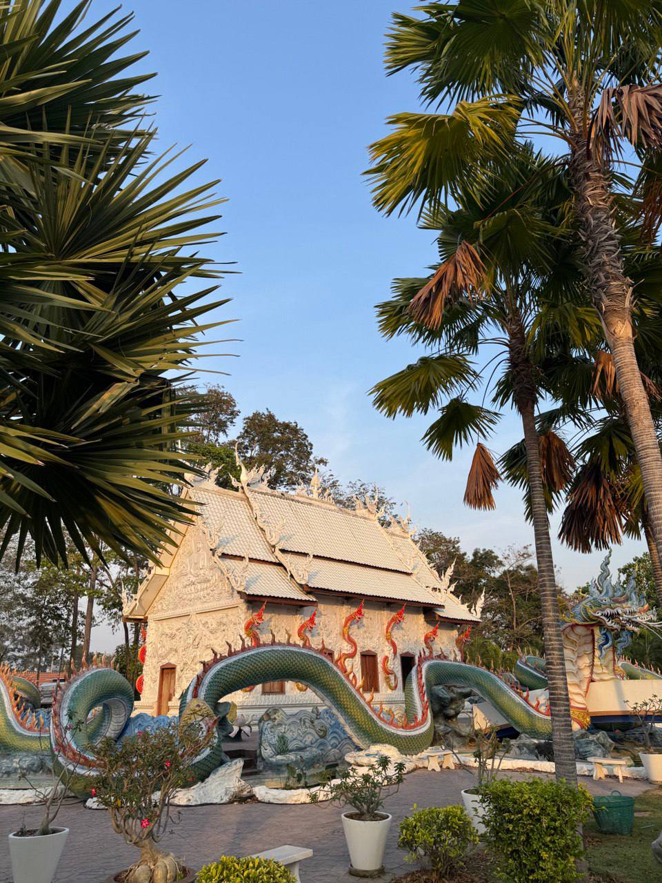 Фото отзыва Ksenia №4