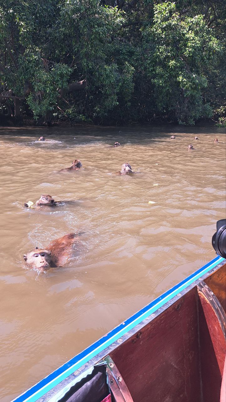 Фото отзыва Алена №2