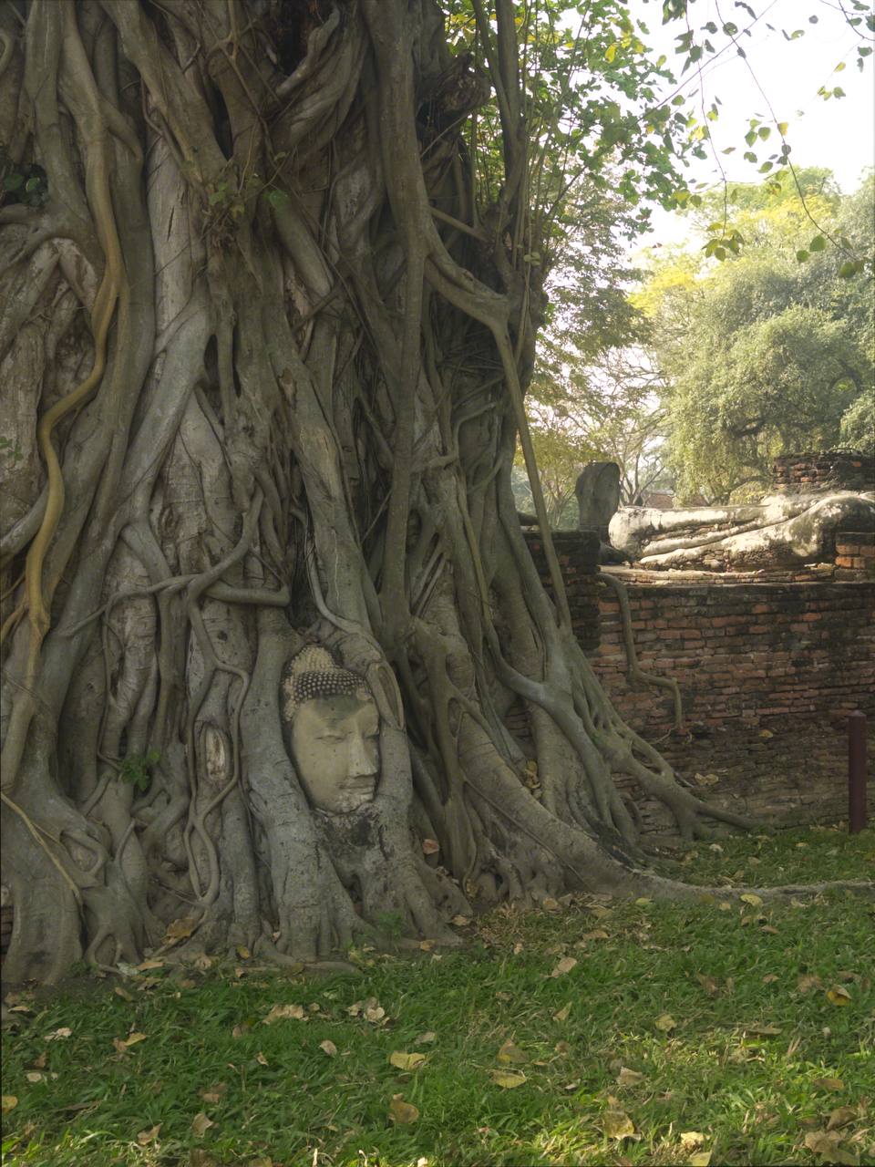 Фото отзыва Ирина №6