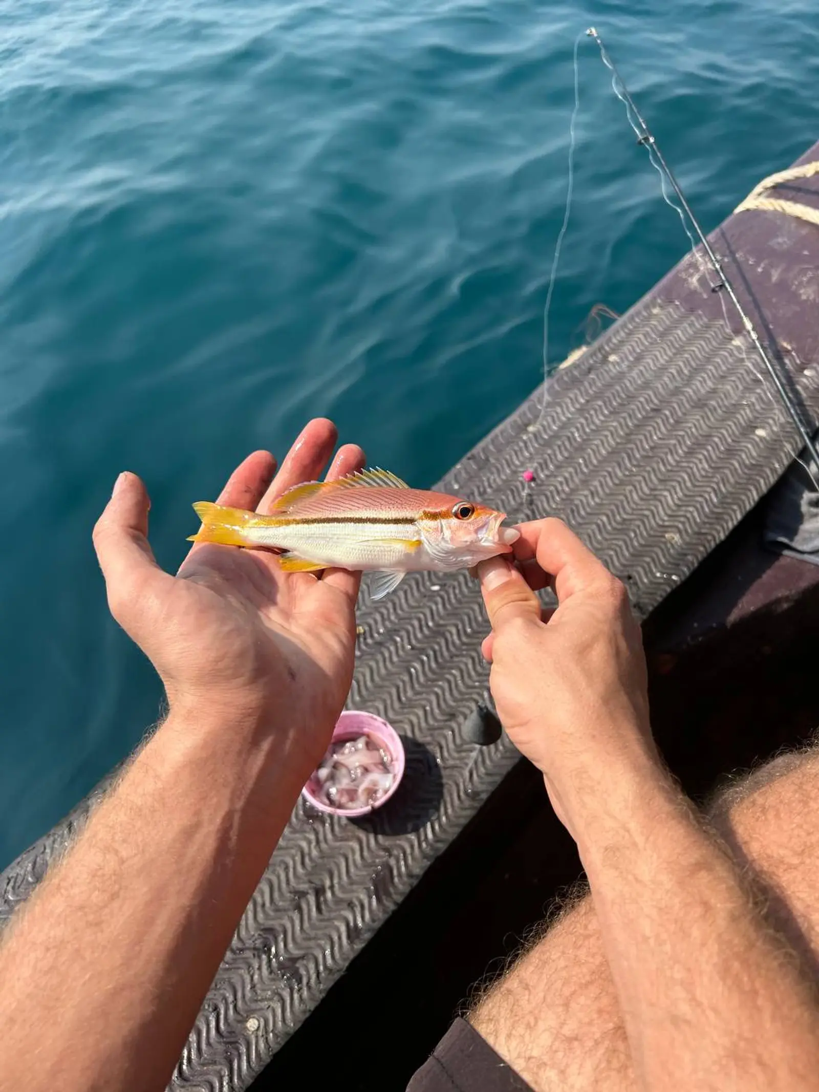 Отзыв к экскурсии «BIG FISHING - Большая рыбалка с троллингом» — небольшая пойманная рыба в руках туриста