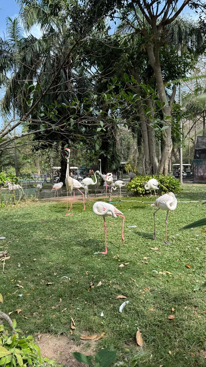 Фото отзыва Ramen №1