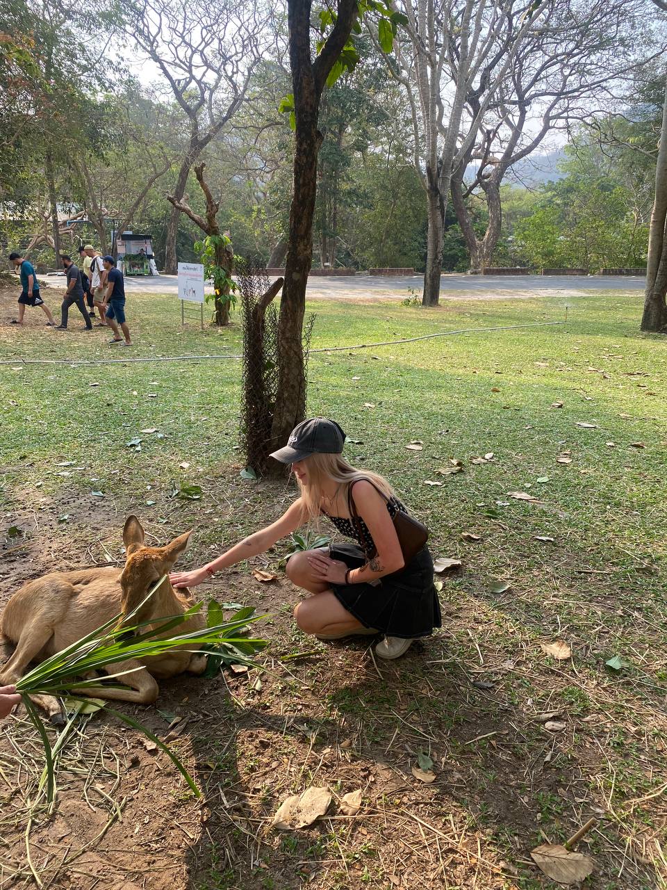 Фото отзыва Ann Honda №1