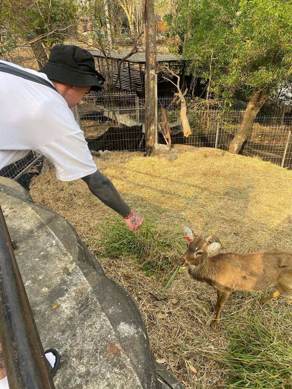 Фото отзыва Ann Honda №2