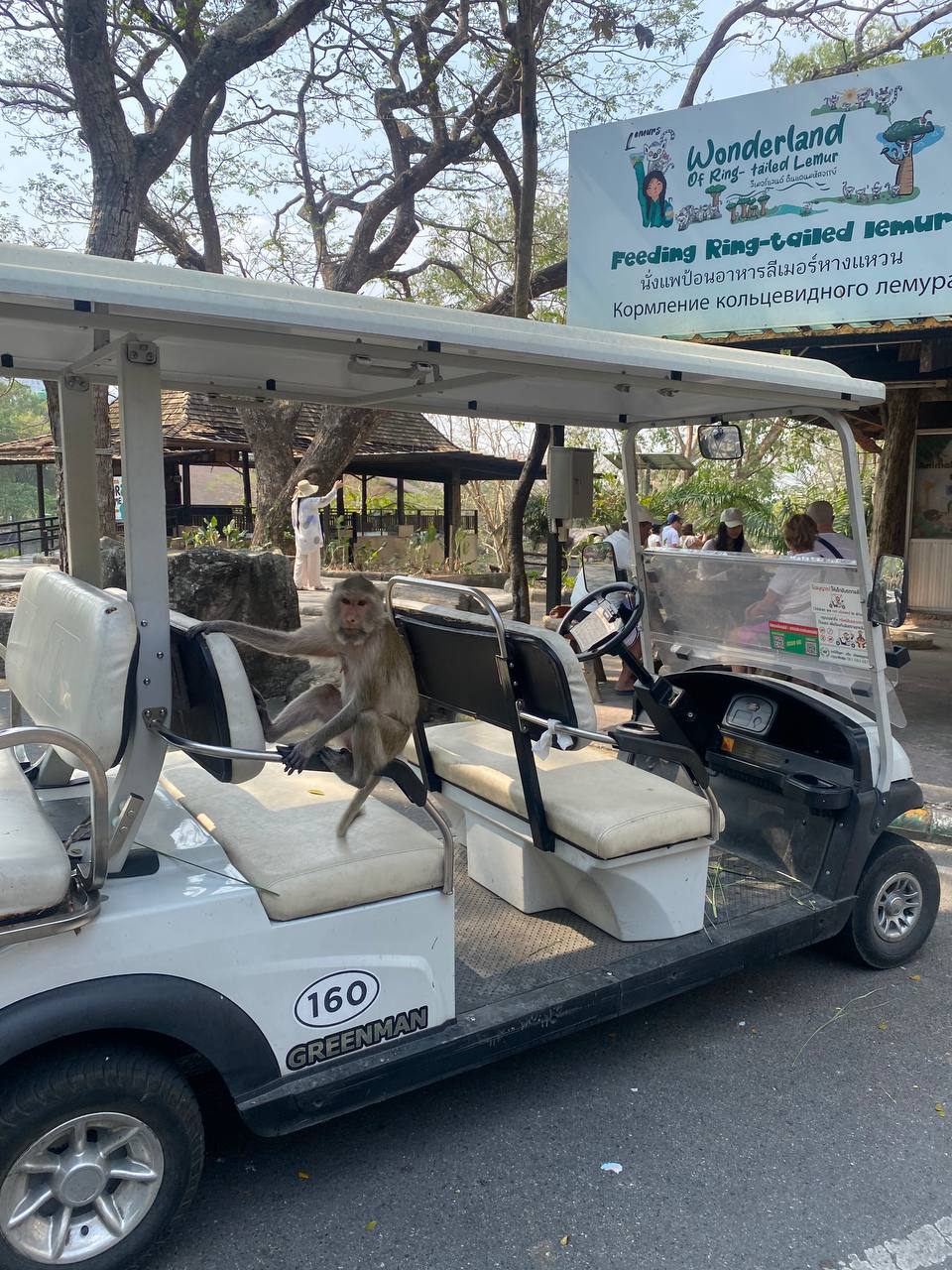 Фото отзыва Ann Honda №3